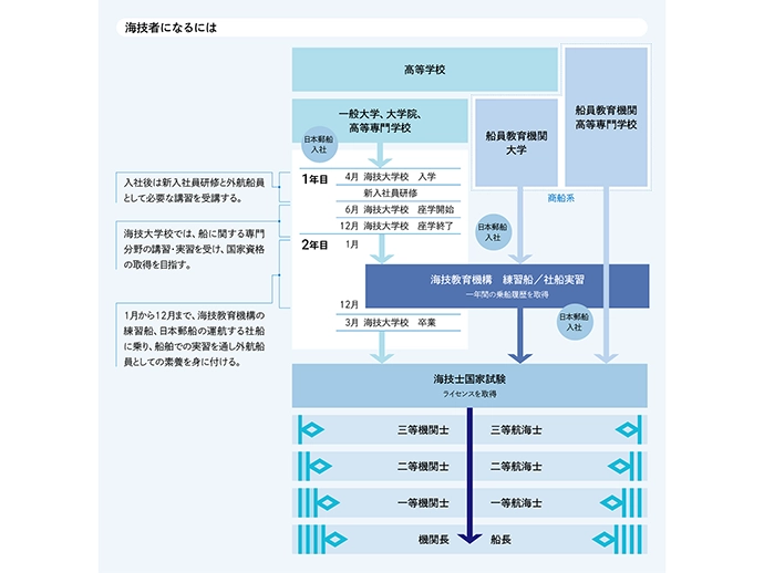 海技者のキャリアパス